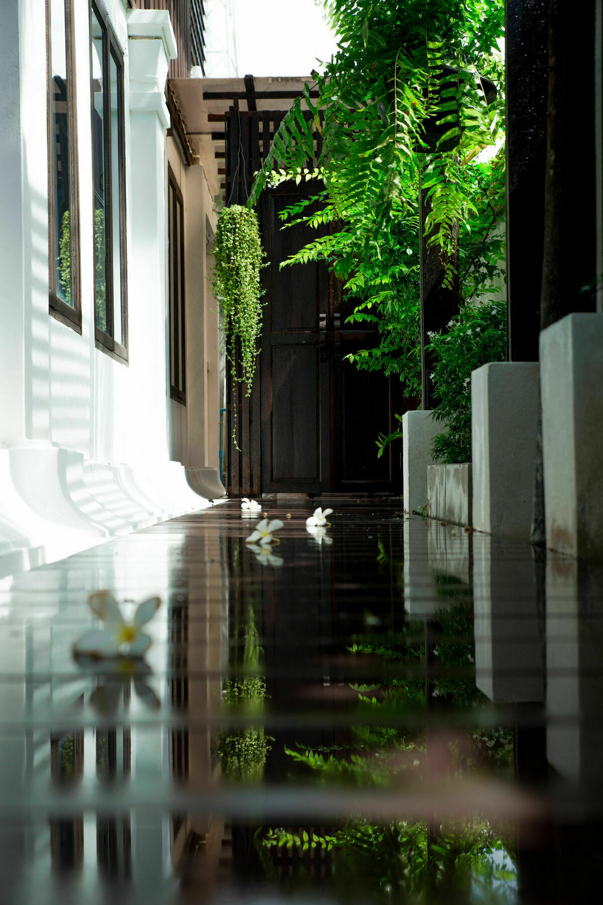 Rachamankha Thai Villa شيانغ ماي المظهر الخارجي الصورة